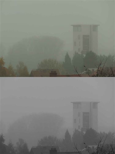 Beringen in de mist - Beringen