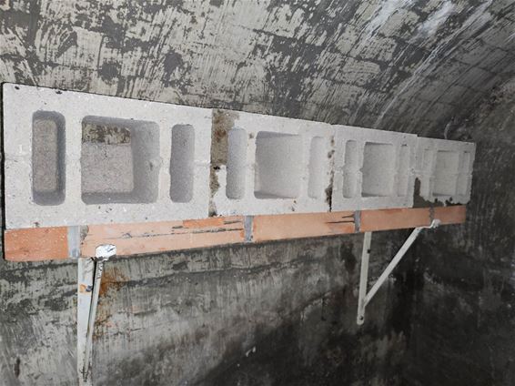 Bunkers worden schuilhuizen voor vleermuizen