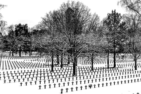 Een begraafplaats in de sneeuw - Lommel