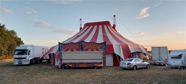 Een circus zonder dieren - Pelt