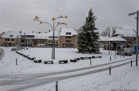 Nog wat sneeuwfoto's - Overpelt