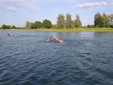 Nu ook langeafstandzwemmen aan Paalse Plas - Beringen
