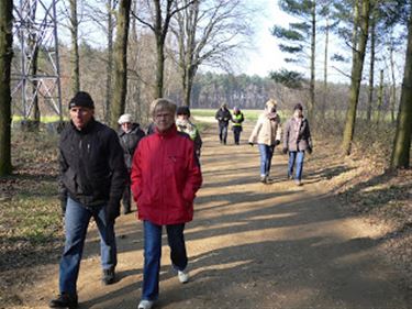 Okra-wandeling in de bossen - Meeuwen-Gruitrode