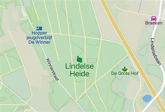 Ook 'Celtic Fields' op de Lindelse Heide - Pelt