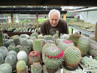 Paul toont zijn collectie cactussen - Beringen