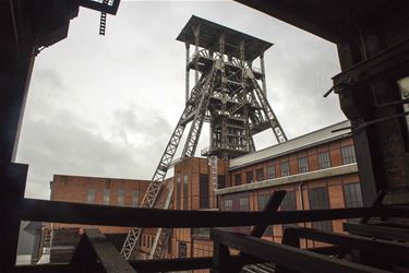 Petitie: red de kolenwasserij van Beringen - Beringen