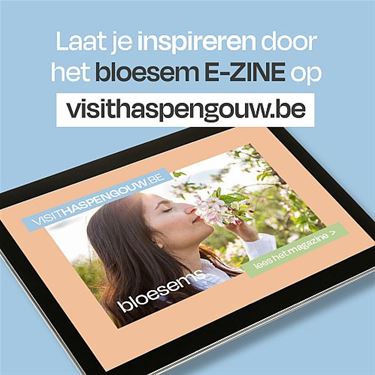 'Visit Haspengouw' bundelt alle bloesemtips