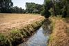 Hamont-Achel - Verbod: geen water uit beken of rivieren