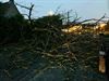 Pelt - Onweer: boom geveld op De Roosen