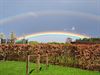 Lommel - Bijzonder mooie regenboog