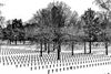 Lommel - Een begraafplaats in de sneeuw