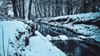 Lommel - Sneeuwfoto's, het blijft prachtig