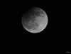 Hamont-Achel - Volle maan... en iéts meer