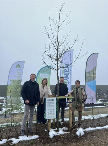 10.000ste klimaatboom geplant in Oudsbergen - Oudsbergen