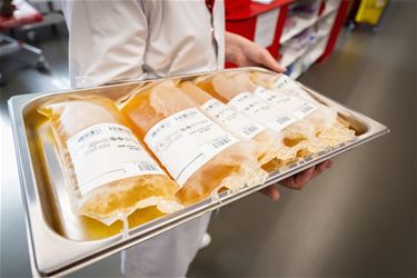10.878 plasmadonaties in Beringen - Beringen