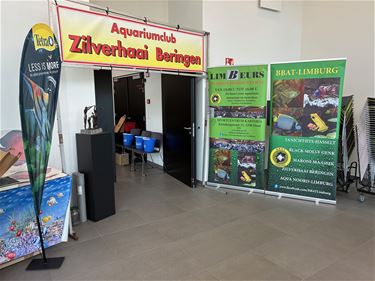 100 bezoekers voor Open House Zilverhaai - Beringen