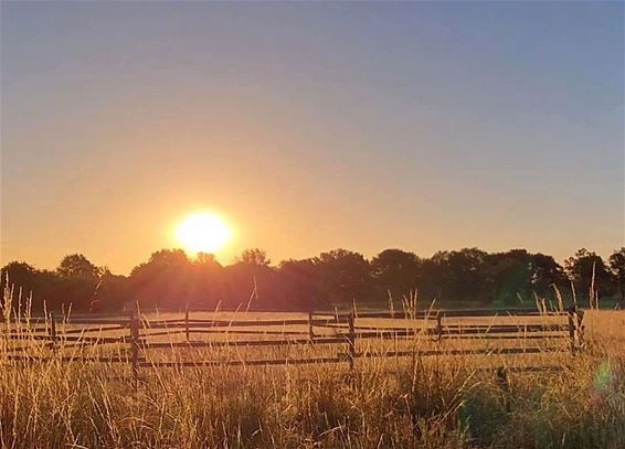 11 juli: zonsopgang in de Dommelvallei - Pelt