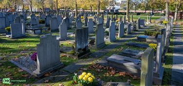 112.029 overlijdens in 2024