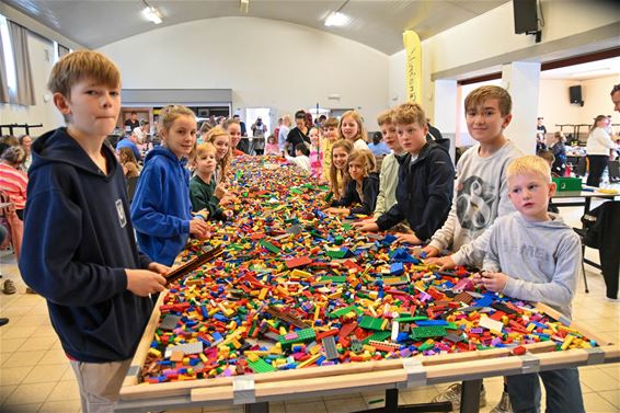 150 kg Legoblokjes bij Raak Barrier - Lommel