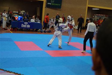 17 podiumplaatsen voor Taekwondoclub - Beringen