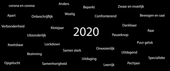 2020 (31) - Een raar jaar is ten einde - Lommel