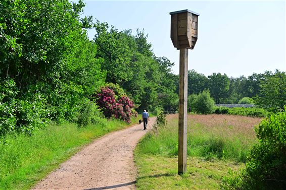 21 vleermuiskasten bij Blueberry Fields - Beringen