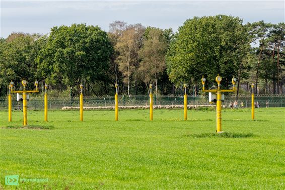350 schapen zijn aangekomen in Peer - Peer