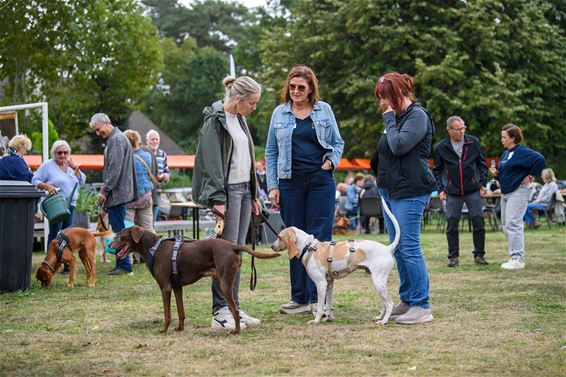 500 honden kwispelen op SHIN-dag - Hamont-Achel