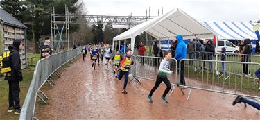 55ste veldloop DALO was een succes - Lommel