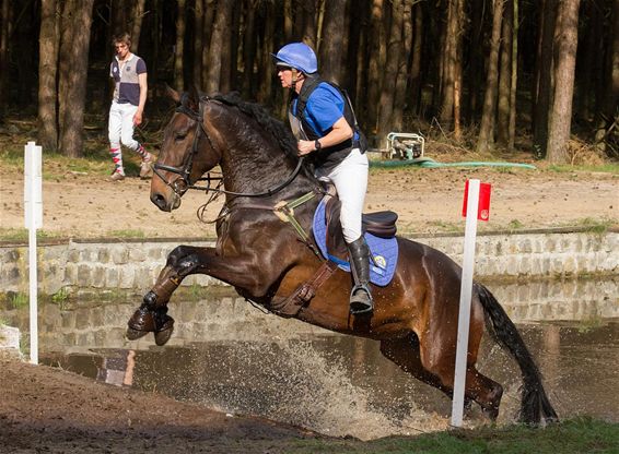 600 paarden in eventing in Holheide - Overpelt