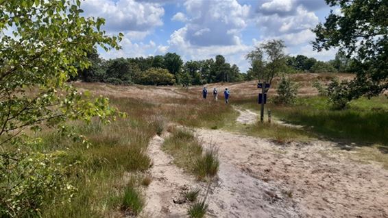 6de Hageventocht van de Dommeltrippers - Pelt