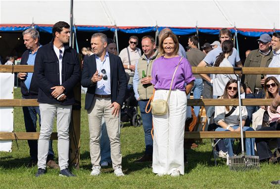 8.000 toeschouwers voor ruiterkampioenschap - Oudsbergen