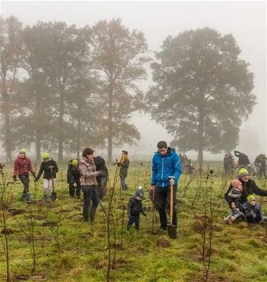 8.466 nieuwe bomen voor een nog groener Genk - Genk