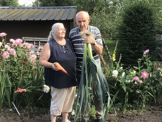 800 slakken in een emmer - Houthalen-Helchteren