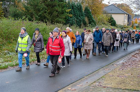 93 wandelaars voor seniorenwandeling - Beringen