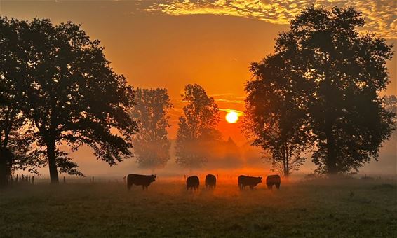 Aan de andere kant kleurde de ochtend rood - Pelt