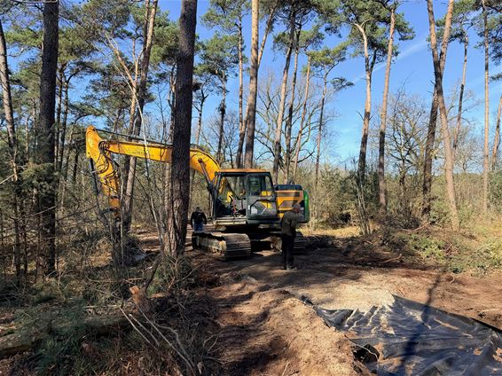 Aanleg toegankelijke paden in Lindelsbos gestart - Pelt