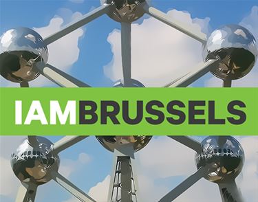 Aanslagen in Brussel: noodnummer en website - Beringen