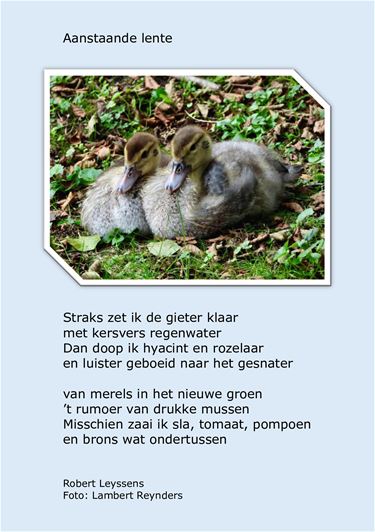 Aanstaande lente - Beringen & Leopoldsburg