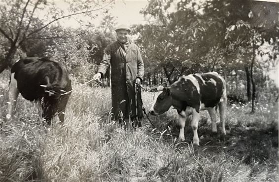 Van keuterboer tot bioboer - Beringen