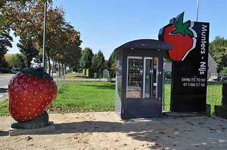 Aardbeien uit de automaat - Hamont-Achel