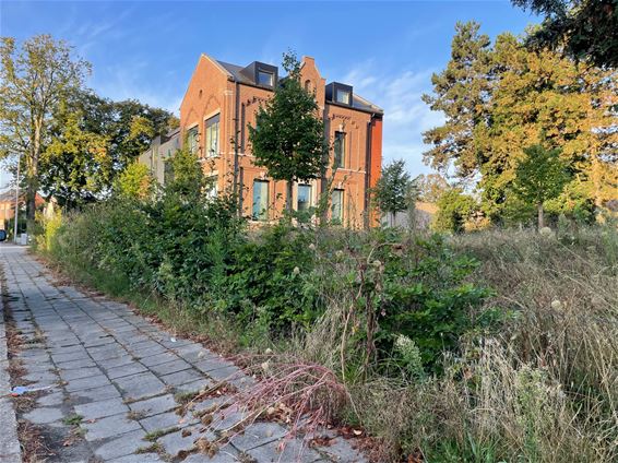 Achterstand in berm- en maaibeheer - Beringen