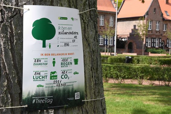 Actie #TreeTag wijst op het belang van bomen - Houthalen-Helchteren