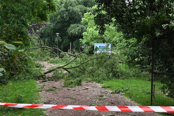 Actiefiches extreme weersomstandigheden - Beringen