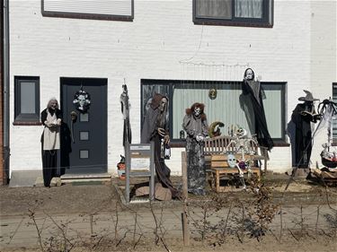 Aftellen naar Halloween - Beringen