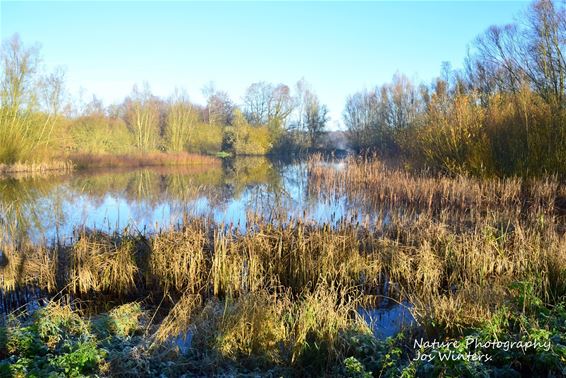 Afwateringsplas langs de Noord-Zuid - Hechtel-Eksel