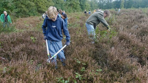 Agnetencollege steekt handen uit de mouwen