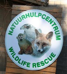 Al 11.000 dieren opgevangen in Natuurhulpcentrum - Oudsbergen