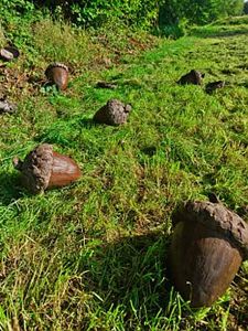 Al kunstwerken van Galandart gestolen - Hamont-Achel