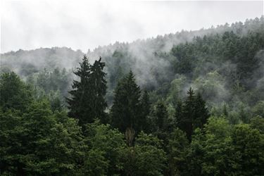 Pelt - Als de campings in de Ardennen sluiten...